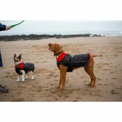Dryrobe Dog Poncho -BNA BOARDSHOP Salg dog dryrobe 134